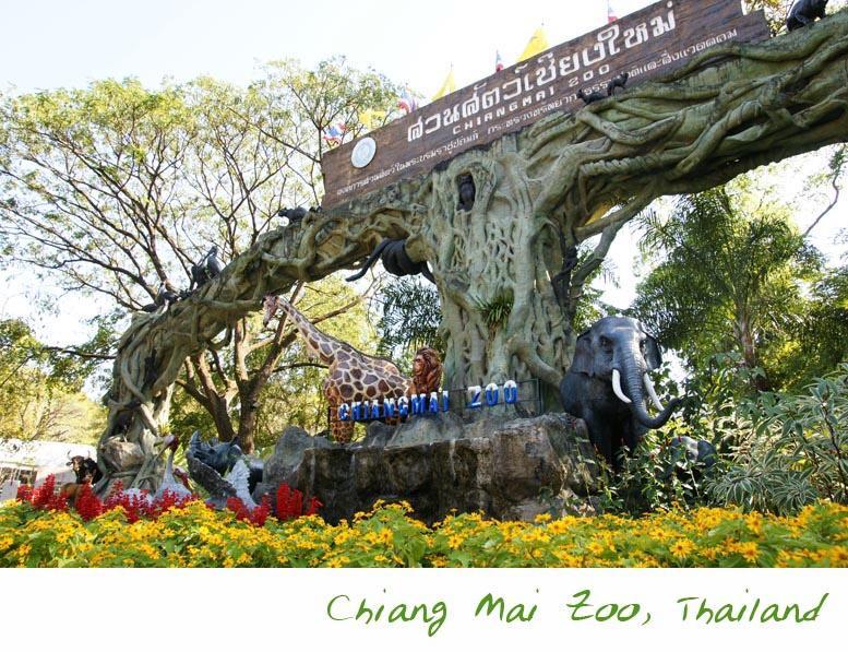 The Unique Condo Nimman Chiang Mai Eksteriør bilde